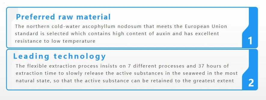 Organic Liquid Compound Fertilizer Deliver Nutritions to The Plants