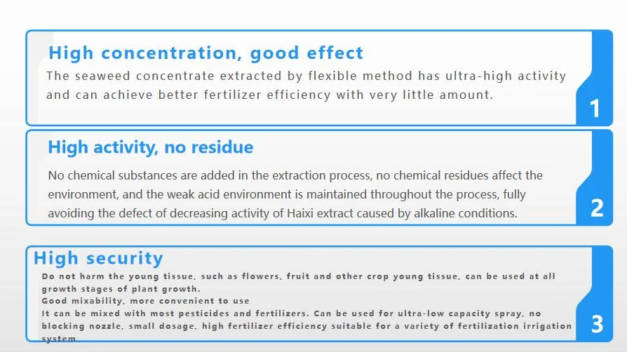 Seaweed Functional Fertilizer Provide High Quality Nutritions for Crops Growing